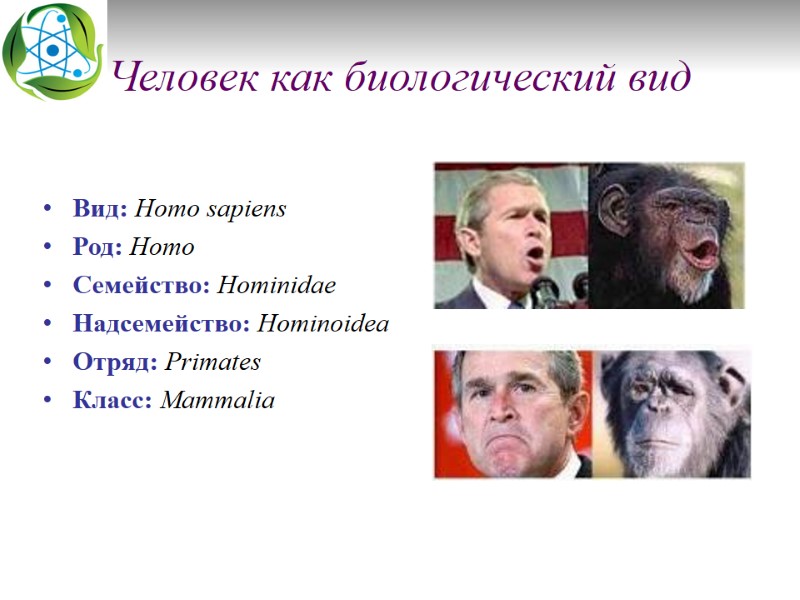 Человек как биологический вид Вид: Homo sapiens  Род: Homo  Семейство: Hominidae Надсемейство: